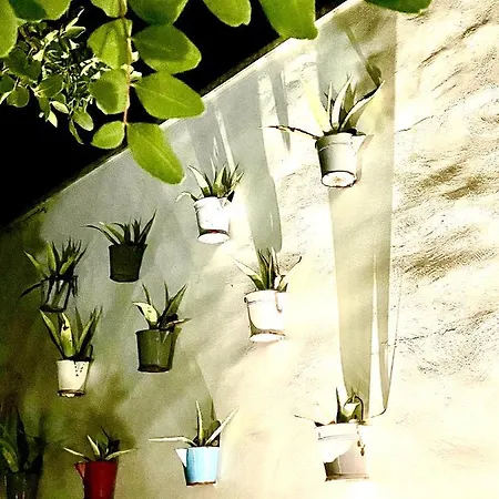 Trulli Matale * 치스테르니노