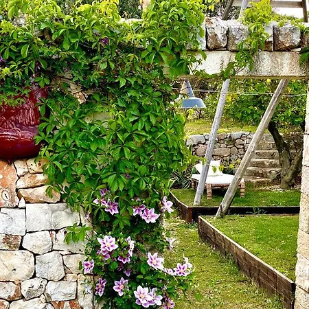 Trulli Matale 치스테르니노