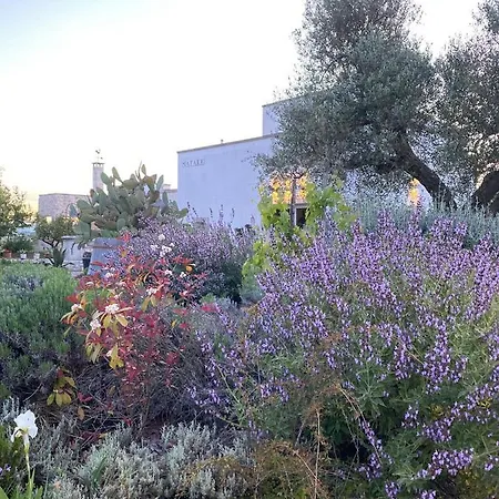 Trulli Matale